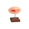 Lèvre pour PMU et Piercing - A Pound Of Flesh