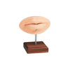 Lèvre pour PMU et Piercing - A Pound Of Flesh